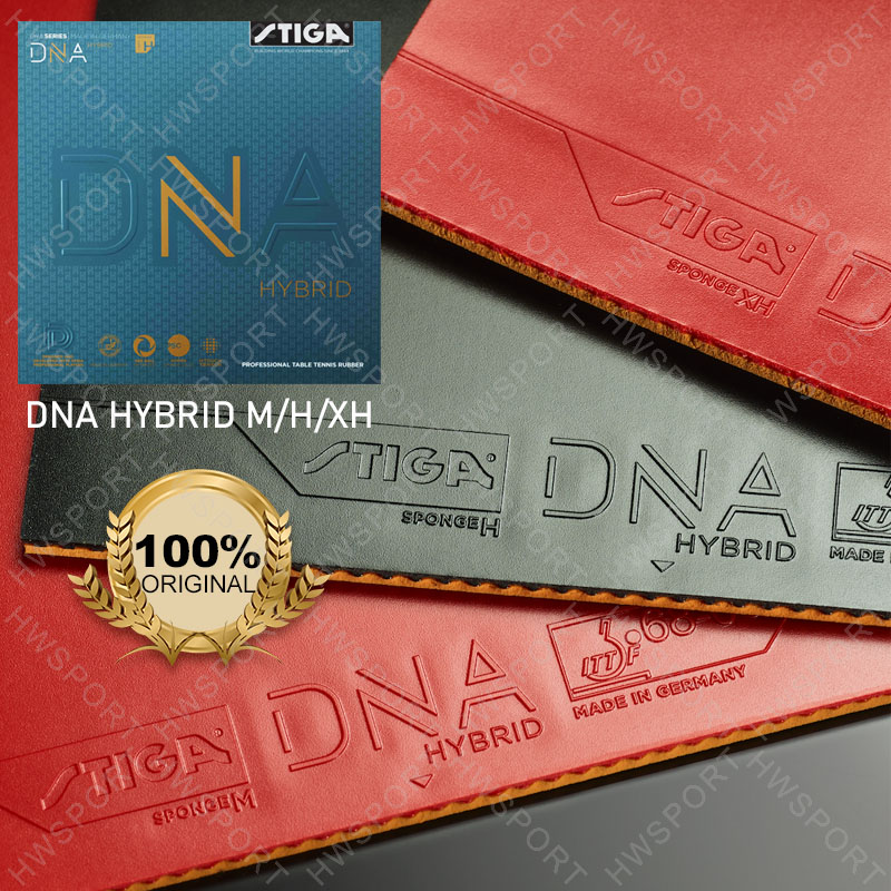 STIGA DNA 하이브리드 시리즈 탁구 고무 전문 반 - Table Tennis Hybrid Rubbers 리뷰 및 가격